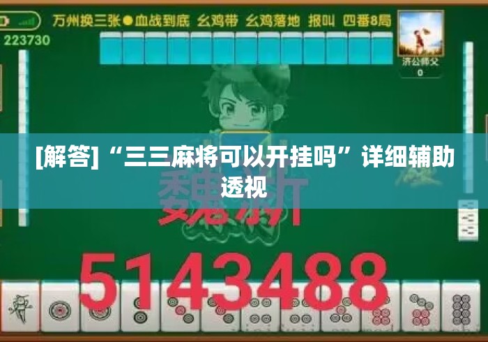 [解答]“三三麻将可以开挂吗”详细辅助透视