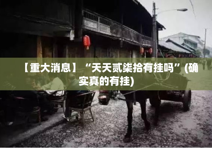 【重大消息】“天天贰柒拾有挂吗”(确实真的有挂)
