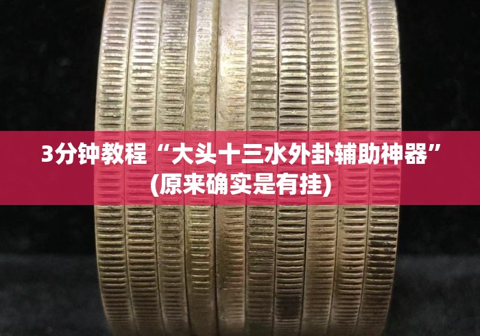 3分钟教程“大头十三水外卦辅助神器”(原来确实是有挂)