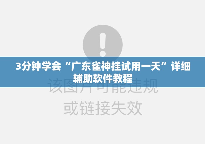 3分钟学会“广东雀神挂试用一天”详细辅助软件教程