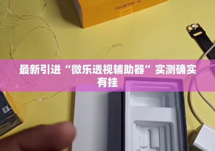 最新引进“微乐透视辅助器”实测确实有挂