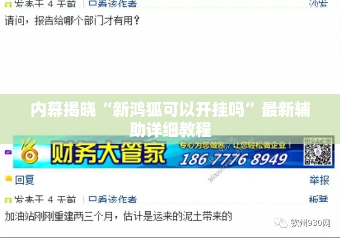 内幕揭晓“新鸿狐可以开挂吗”最新辅助详细教程