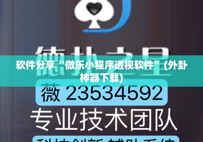 软件分享“微乐小程序透视软件”(外卦神器下载)
