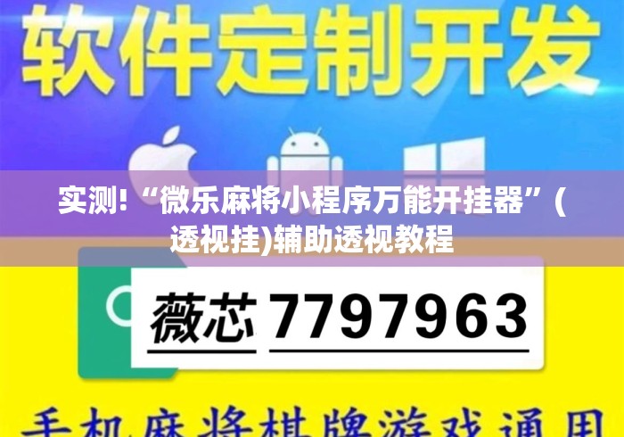 实测!“微乐麻将小程序万能开挂器”(透视挂)辅助透视教程