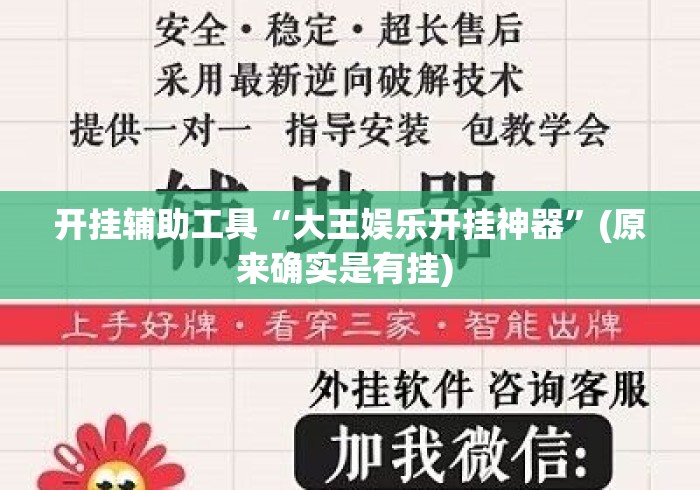 开挂辅助工具“大王娱乐开挂神器”(原来确实是有挂) 