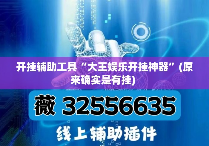 开挂辅助工具“大王娱乐开挂神器	”(原来确实是有挂) 