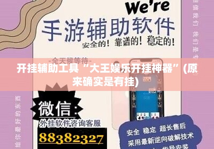开挂辅助工具“大王娱乐开挂神器”(原来确实是有挂) 
