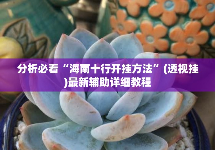 分析必看“海南十行开挂方法	”(透视挂)最新辅助详细教程