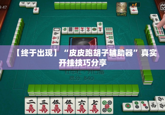 【终于出现】“皮皮跑胡子辅助器”真实开挂技巧分享
