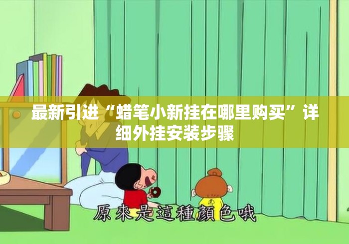 最新引进“蜡笔小新挂在哪里购买”详细外挂安装步骤
