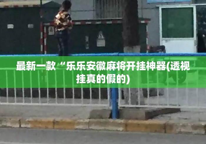 最新一款“乐乐安徽麻将开挂神器(透视挂真的假的)