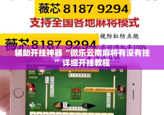 辅助开挂神器“微乐云南麻将有没有挂	”详细开挂教程