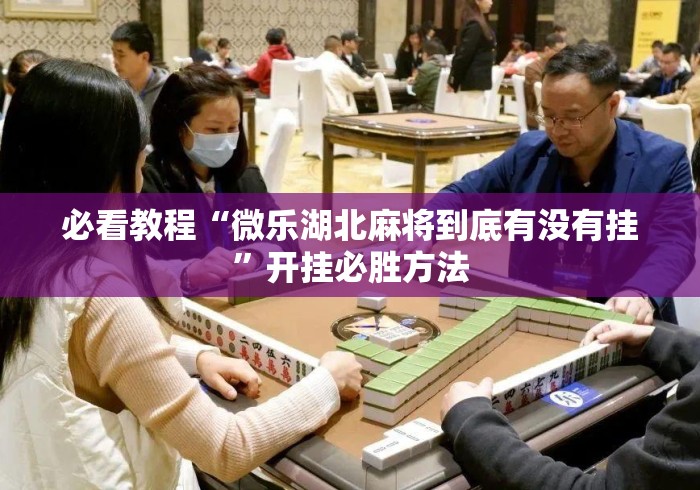 必看教程“微乐湖北麻将到底有没有挂”开挂必胜方法