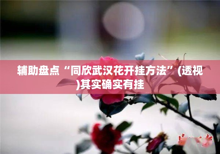 辅助盘点“同欣武汉花开挂方法”(透视)其实确实有挂