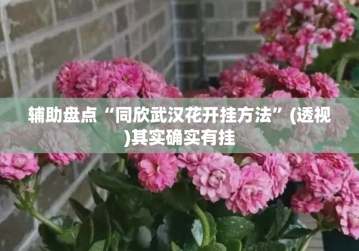 辅助盘点“同欣武汉花开挂方法”(透视)其实确实有挂