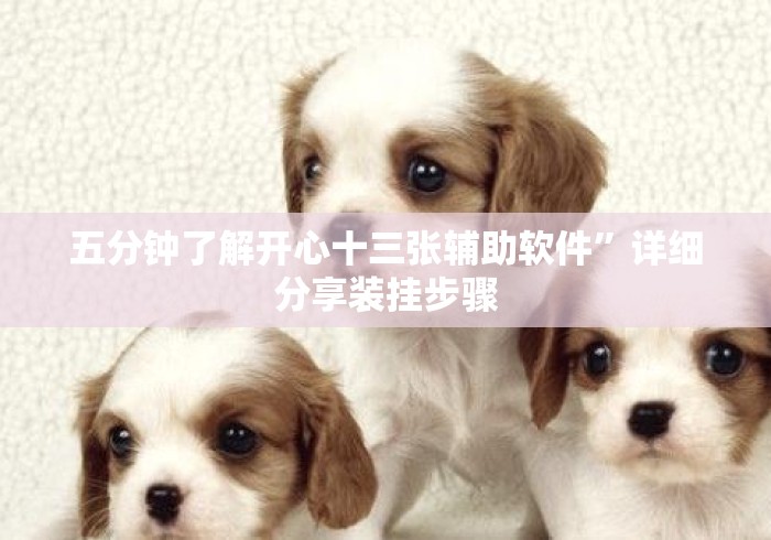 五分钟了解开心十三张辅助软件	”详细分享装挂步骤