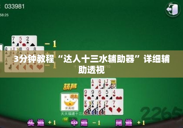 3分钟教程“达人十三水辅助器”详细辅助透视