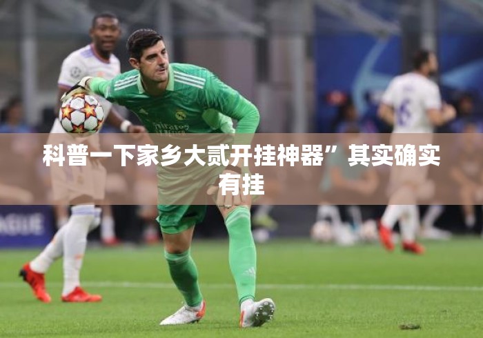 科普一下家乡大贰开挂神器”其实确实有挂