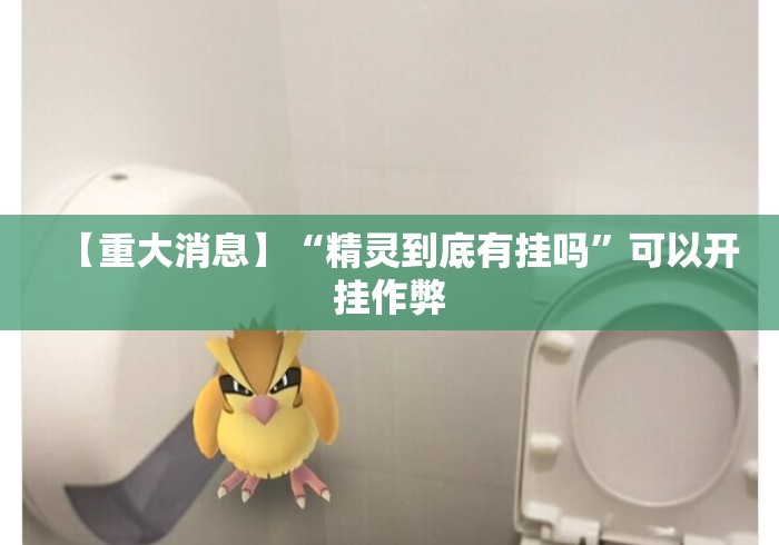 【重大消息】“精灵到底有挂吗”可以开挂作弊