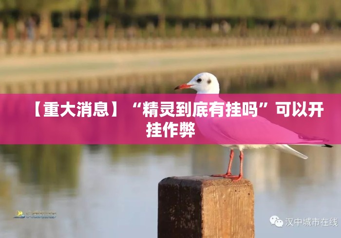 【重大消息】“精灵到底有挂吗”可以开挂作弊