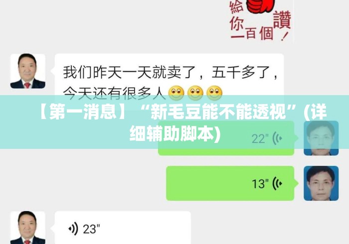 【第一消息】“新毛豆能不能透视”(详细辅助脚本)