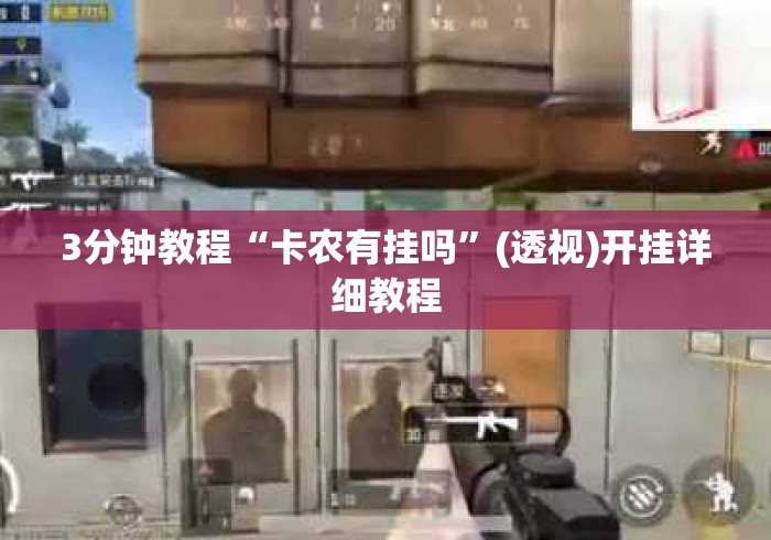 3分钟教程“卡农有挂吗”(透视)开挂详细教程