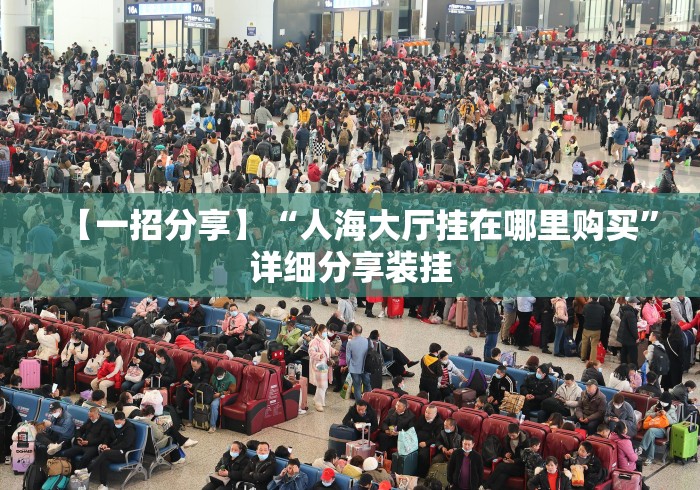 【一招分享】“人海大厅挂在哪里购买”详细分享装挂
