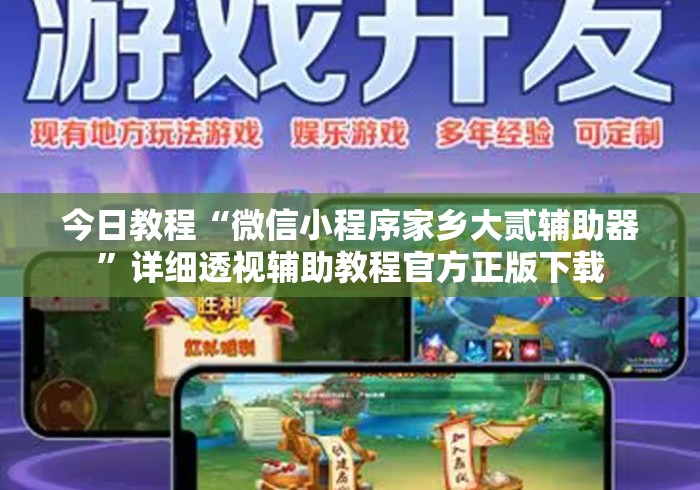 今日教程“微信小程序家乡大贰辅助器”详细透视辅助教程官方正版下载