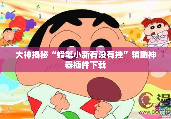 大神揭秘“蜡笔小新有没有挂”辅助神器插件下载