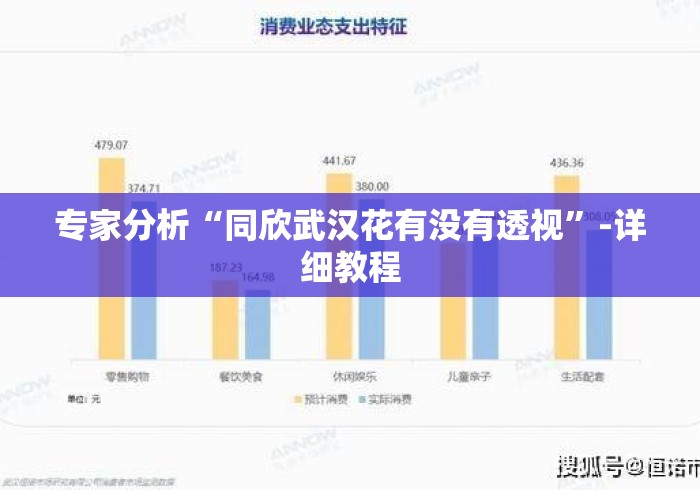 专家分析“同欣武汉花有没有透视”-详细教程