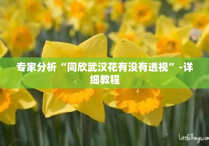 专家分析“同欣武汉花有没有透视”-详细教程