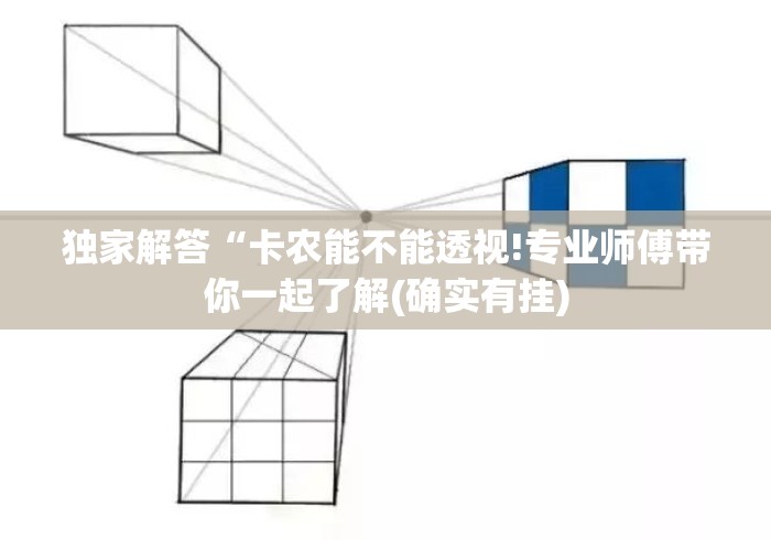 独家解答“卡农能不能透视!专业师傅带你一起了解(确实有挂)
