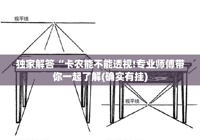 独家解答“卡农能不能透视!专业师傅带你一起了解(确实有挂)