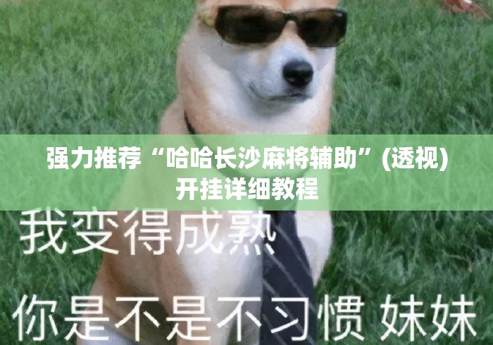 强力推荐“哈哈长沙麻将辅助	”(透视)开挂详细教程