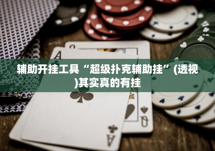 辅助开挂工具“超级扑克辅助挂”(透视)其实真的有挂
