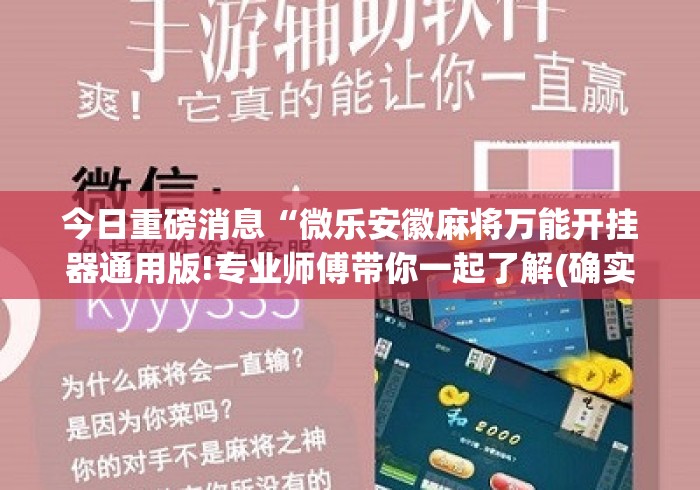 今日重磅消息“微乐安徽麻将万能开挂器通用版!专业师傅带你一起了解(确实有挂)