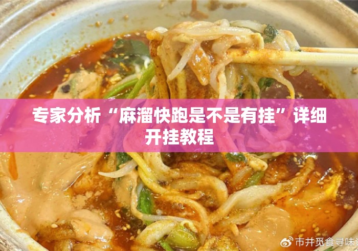 专家分析“麻溜快跑是不是有挂”详细开挂教程