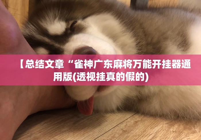 【总结文章“雀神广东麻将万能开挂器通用版(透视挂真的假的)