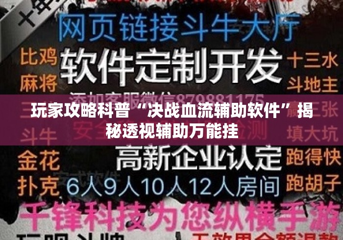 玩家攻略科普“决战血流辅助软件”揭秘透视辅助万能挂