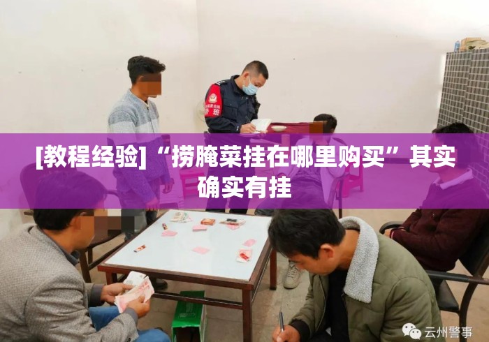 [教程经验]“捞腌菜挂在哪里购买”其实确实有挂