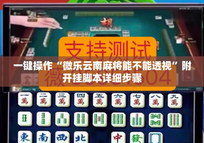 一键操作“微乐云南麻将能不能透视”附开挂脚本详细步骤