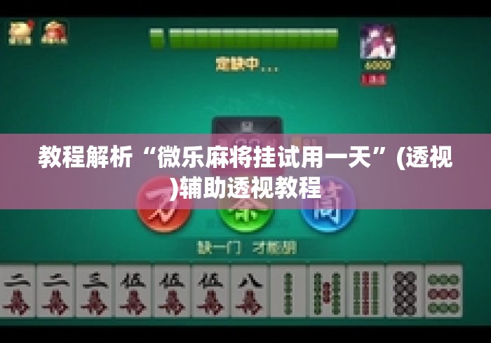教程解析“微乐麻将挂试用一天”(透视)辅助透视教程