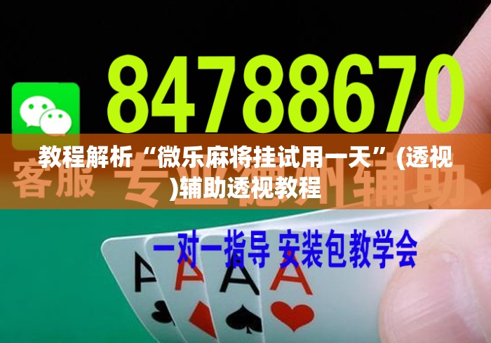 教程解析“微乐麻将挂试用一天”(透视)辅助透视教程