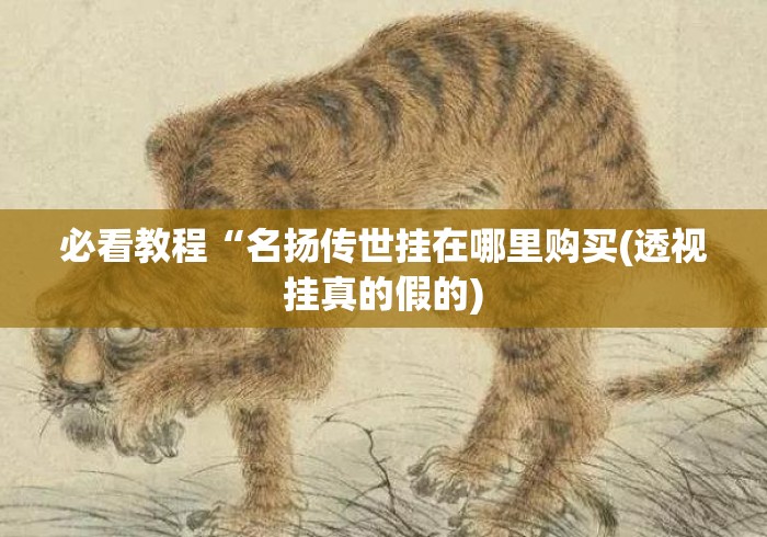 必看教程“名扬传世挂在哪里购买(透视挂真的假的) 必看教程“名扬传世挂在哪里购买(透视挂真的假的)