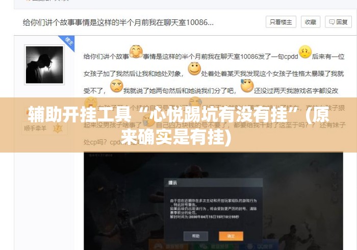 辅助开挂工具“心悦踢坑有没有挂”(原来确实是有挂) 