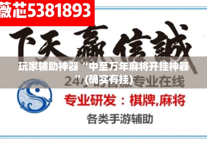 玩家辅助神器“中至万年麻将开挂神器	”(确实有挂)