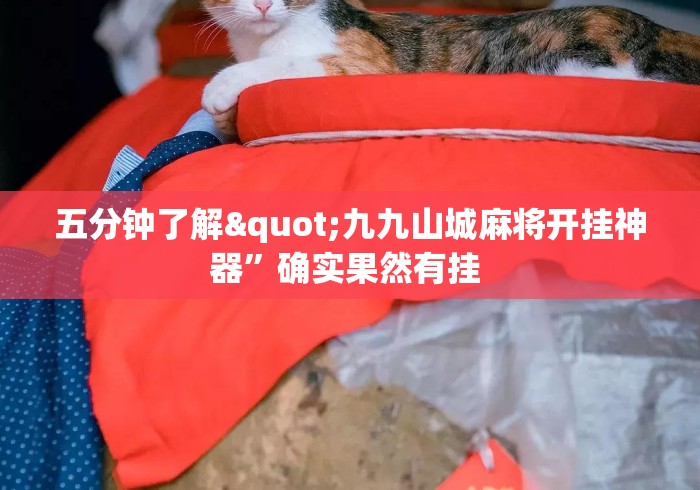 五分钟了解"九九山城麻将开挂神器”确实果然有挂 