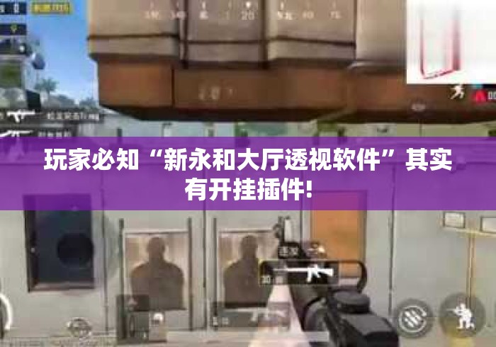 玩家必知“新永和大厅透视软件”其实有开挂插件!