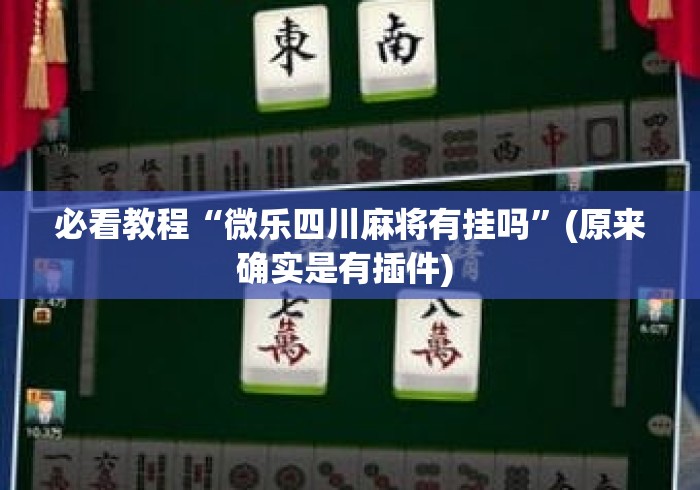 必看教程“微乐四川麻将有挂吗	”(原来确实是有插件) 