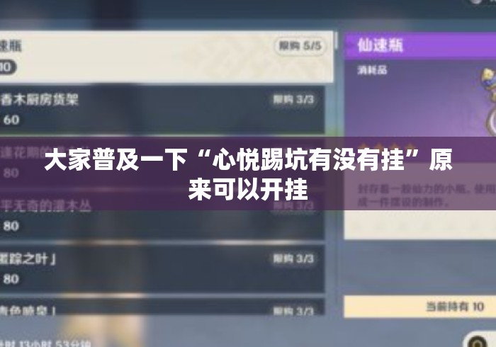 大家普及一下“心悦踢坑有没有挂	”原来可以开挂